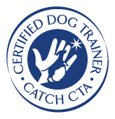 CATCH CCDT Trainer