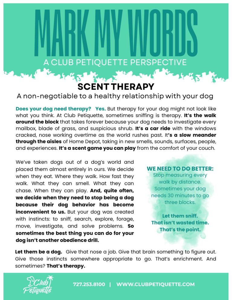Scent Therapy